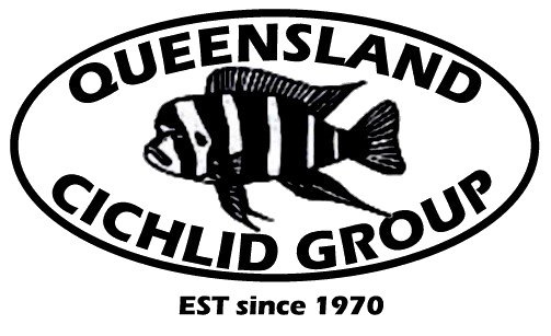 Queensland Cichlid Group Inc.